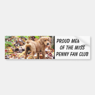 Proud member of the Miss Penny fan club. Bumper Sticker