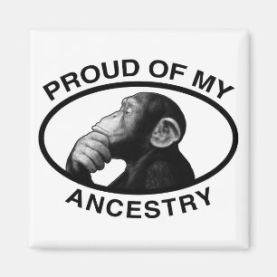 Proud Of My Ancestry Chimp Magnet