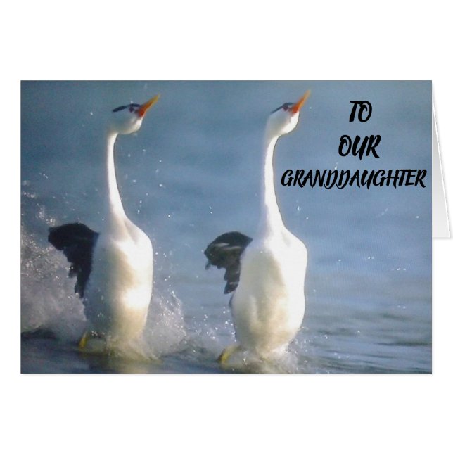 PROUD OF YOU **GRANDDAUGHTER** WISHES FOR FUTURE (Front Horizontal)