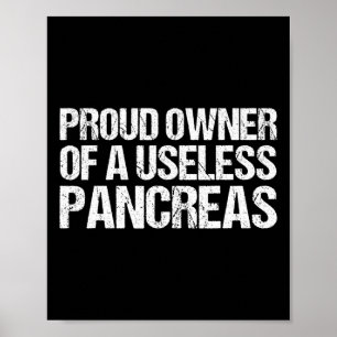 Proud Owner Of A Useless Pancreas Diabetes Awarene Poster