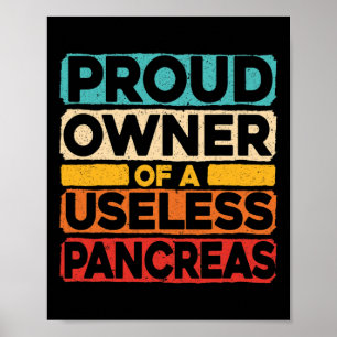 Proud Owner Of A Useless Pancreas Diabetes Awarene Poster