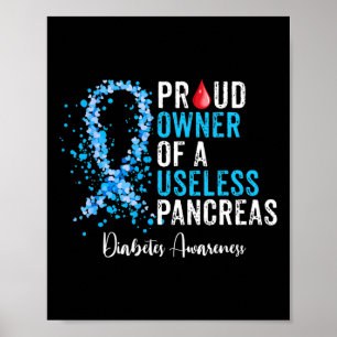 Proud Owner Of A Useless Pancreas Gift Diabetes Aw Poster