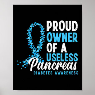 Proud Owner Of A Useless Pancreas T1d Fun Diabetes Poster