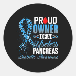 Proud Owner Of A Useless Pancreas Type 1 Diabetes Classic Round Sticker