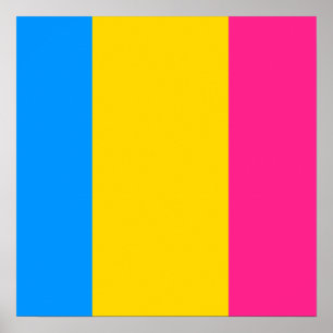Proud Pansexual Poster