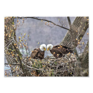 Proud Parents Photo Print