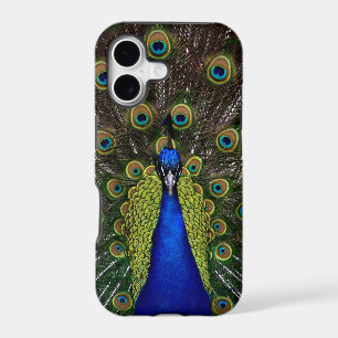Proud Peacock iPhone case