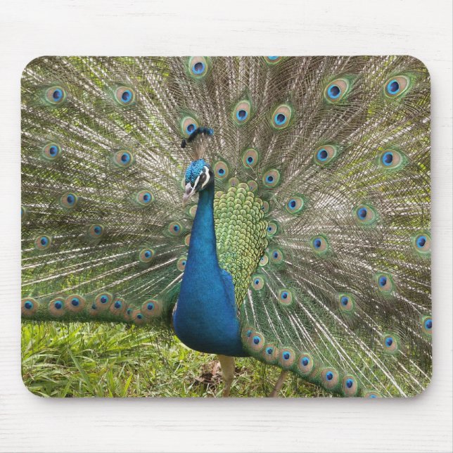 Proud Peacock Mouse Mat (Front)