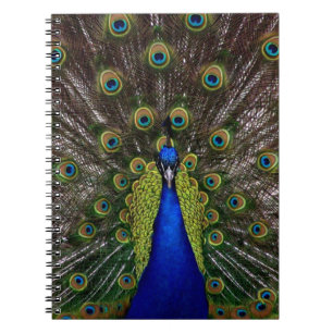 Proud Peacock notebook