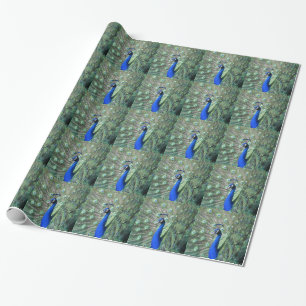 Proud Peacock Wrapping Paper