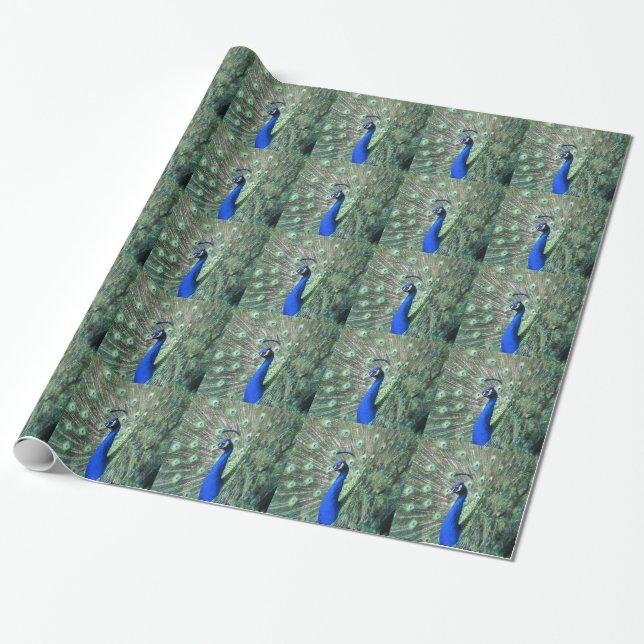 Proud Peacock Wrapping Paper (Unrolled)