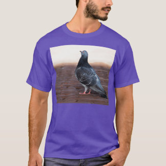 Proud pigeon 1 T-Shirt