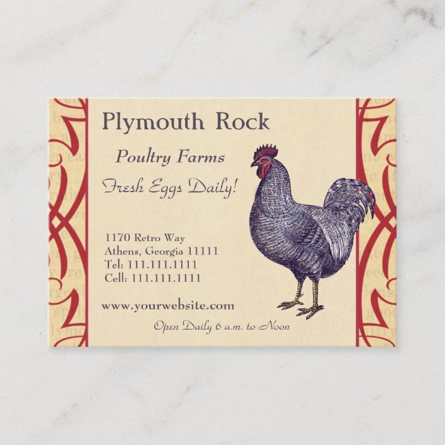Proud Plymouth Rock Rooster Poultry Farm Business Card (Front)