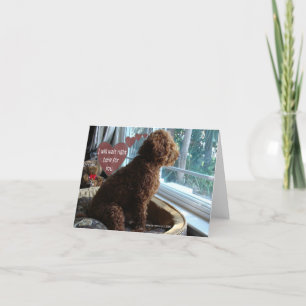 Proud Poodle - Missing You - Card