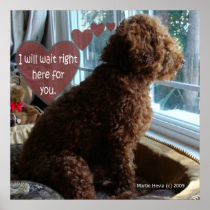 Proud Poodle - Missing You - Poster