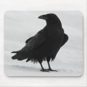 Proud Raven Mouse Mat