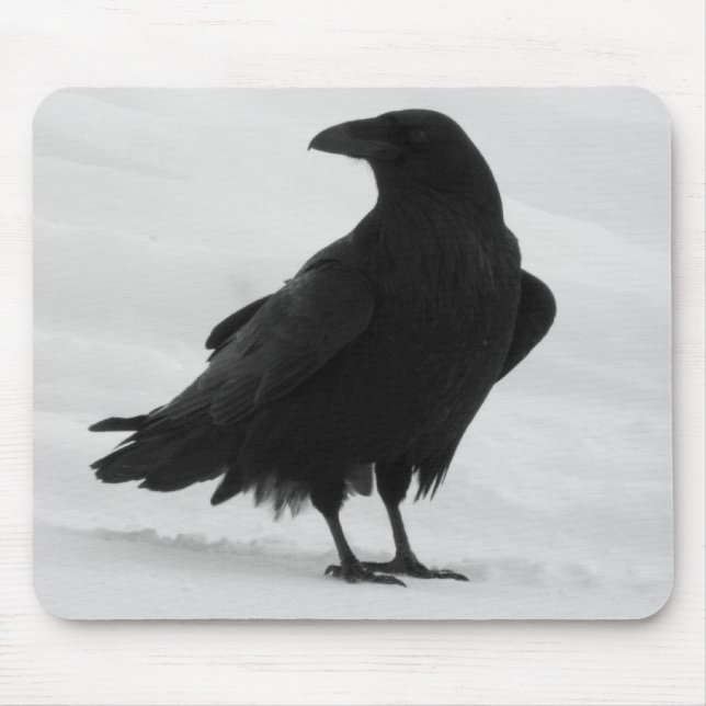 Proud Raven Mouse Mat (Front)