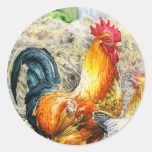Proud Rooster Classic Round Sticker