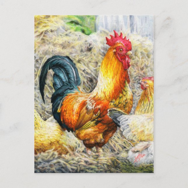 Proud Rooster Postcard (Front)