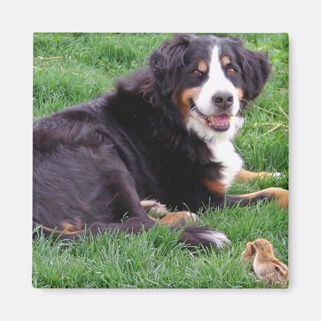 Proud Serena Magnet (Front)