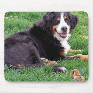 Proud Serena Mouse Mat