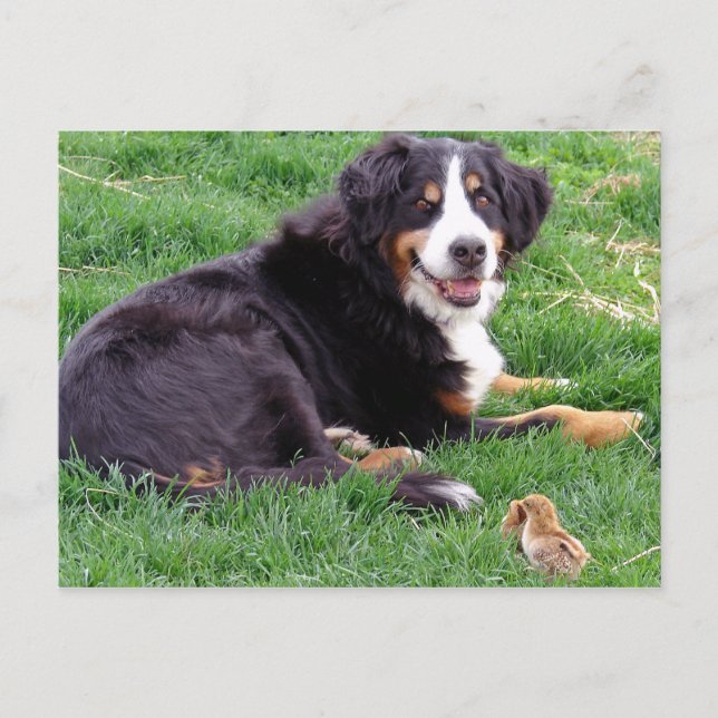 Proud Serena Postcard (Front)