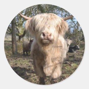 Proud to be Scottish Classic Round Sticker