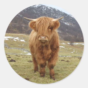 Proud to be Scottish! Classic Round Sticker