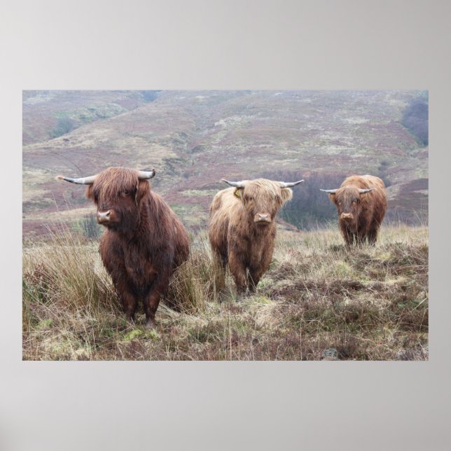 Proud To Be Scottish! Poster (Front)