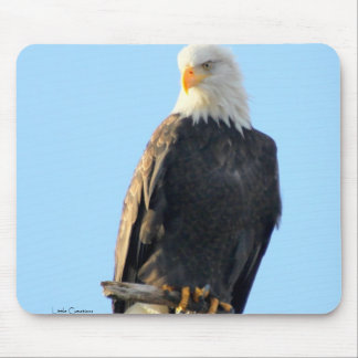 Proudly Perched Mouse Mat