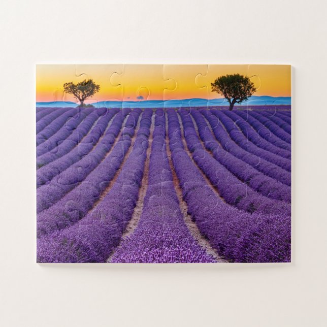 Provence, France. Plateau of Valensole. Jigsaw Puzzle (Horizontal)