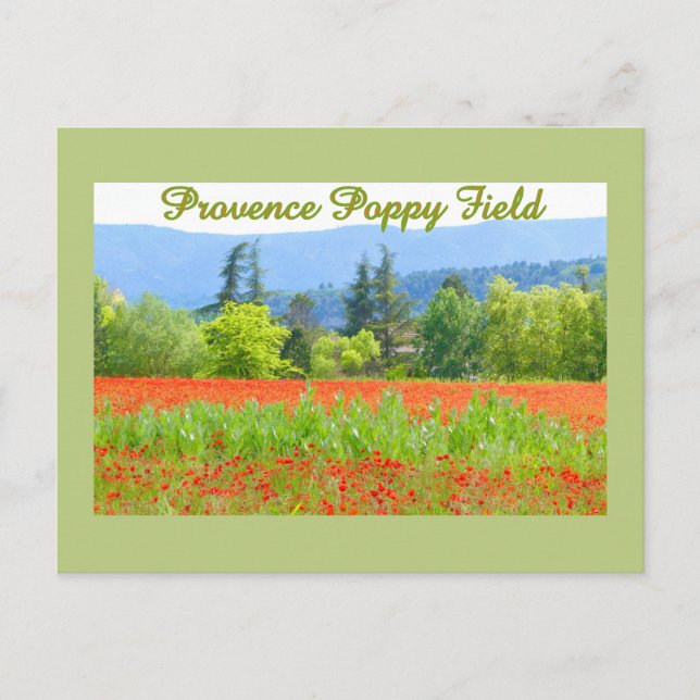 PROVENCE FRANCE POPPY FIELD POSTCARD (Front)