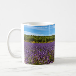 Provence Lavender Coffee Mug