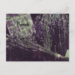 provence lavender postcard