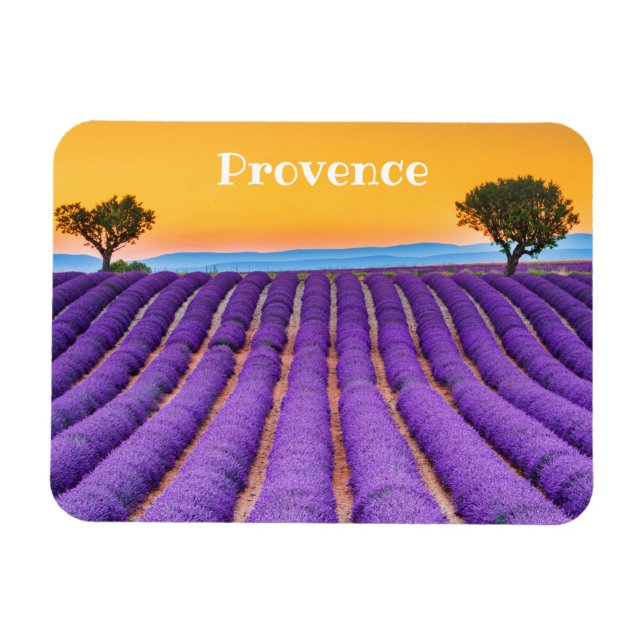 Provence Magnet (Horizontal)