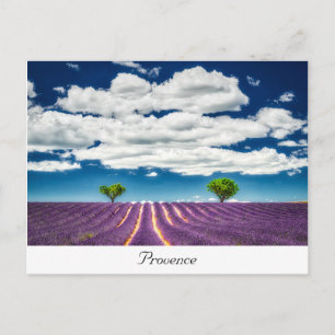 Provence Postcard