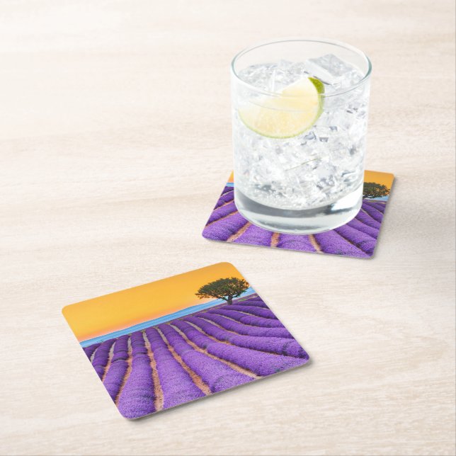 Provence Square Paper Coaster (Insitu)