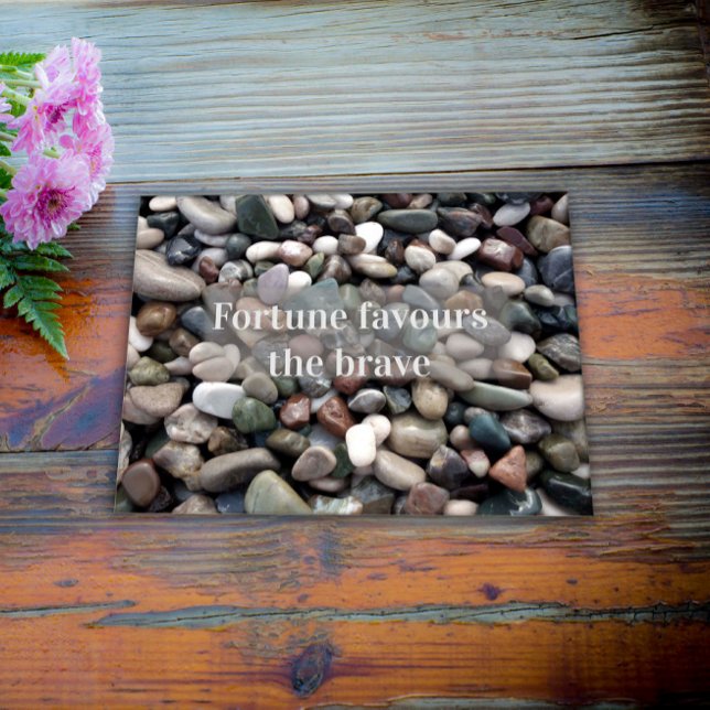 Proverb fortune favours the brave poster (Creator Uploaded)
