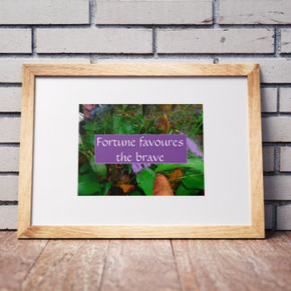 Proverb fortune favours the brave poster