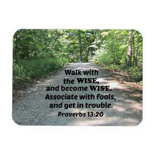 Proverbs 13:20 Walk with the wise and become wise. Magnet