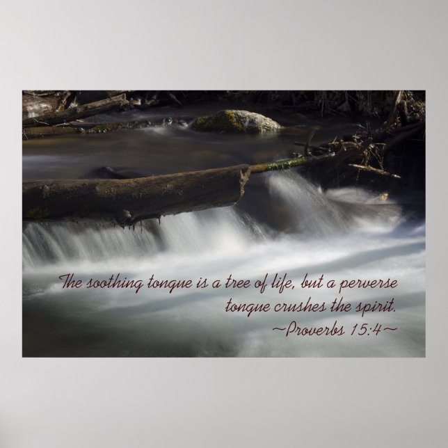 Proverbs 15:4 Poster (Front)