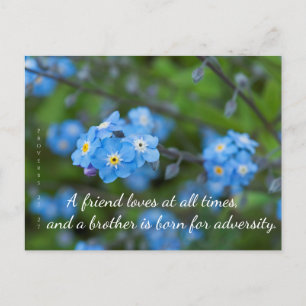 Proverbs 17:17 Forget-Me-Not Postcard