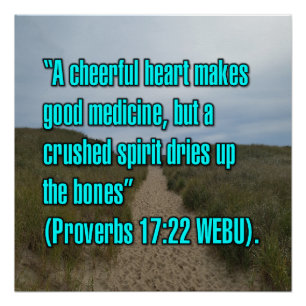 Proverbs 17:22 WEBU Poster