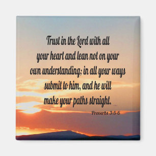 Proverbs 19:21 magnet