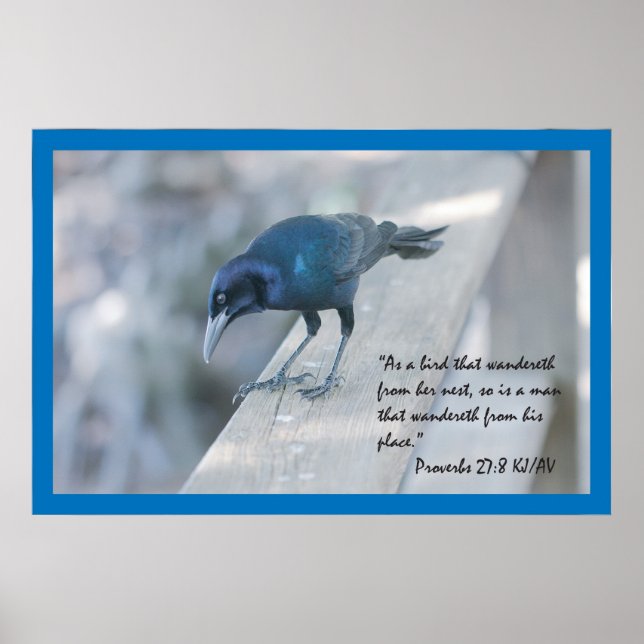 Proverbs 27:8 Scripture Poster (Front)