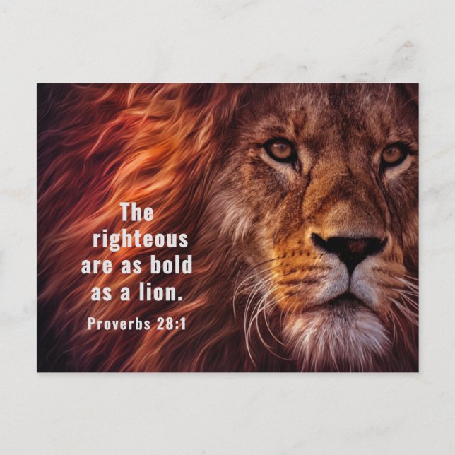 Proverbs 28:1 Bible Righteous are Bold as a Lion  Postcard (Front)