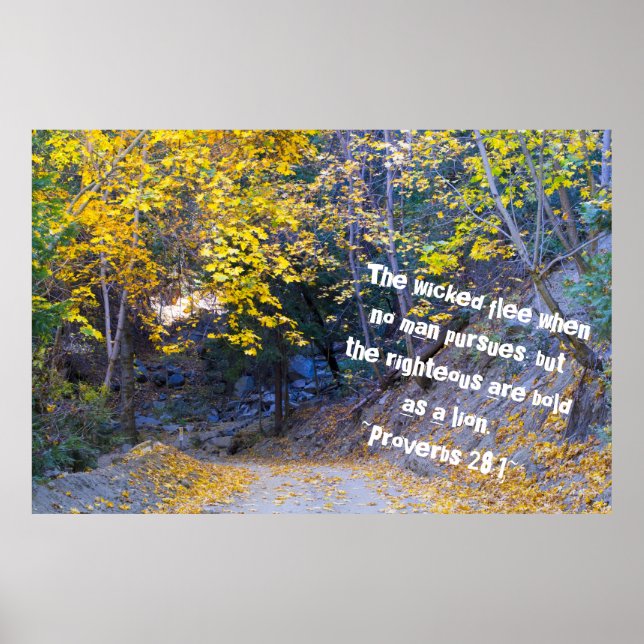 Proverbs 28:1 poster (Front)