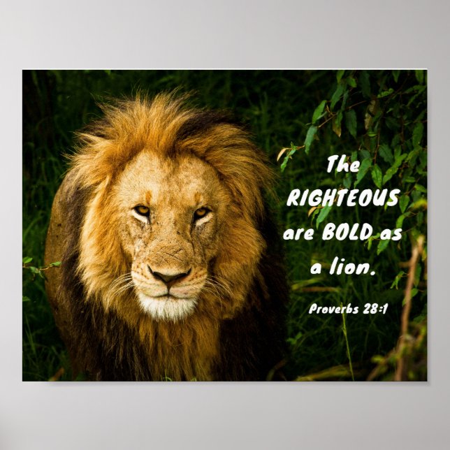 Proverbs 28:1 Righteous are Bold as a Lion Bible Poster (Front)