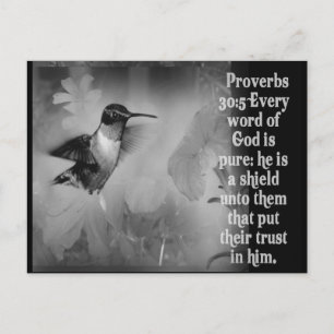 Proverbs 30:5 BIBLE SCRIPTURE with Hummingbird Postcard