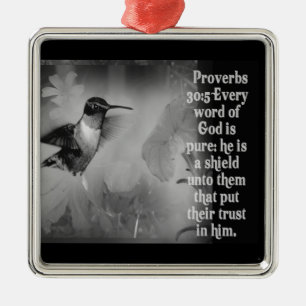PROVERBS 30:5 ORNAMENT GOD IS A SHIELD